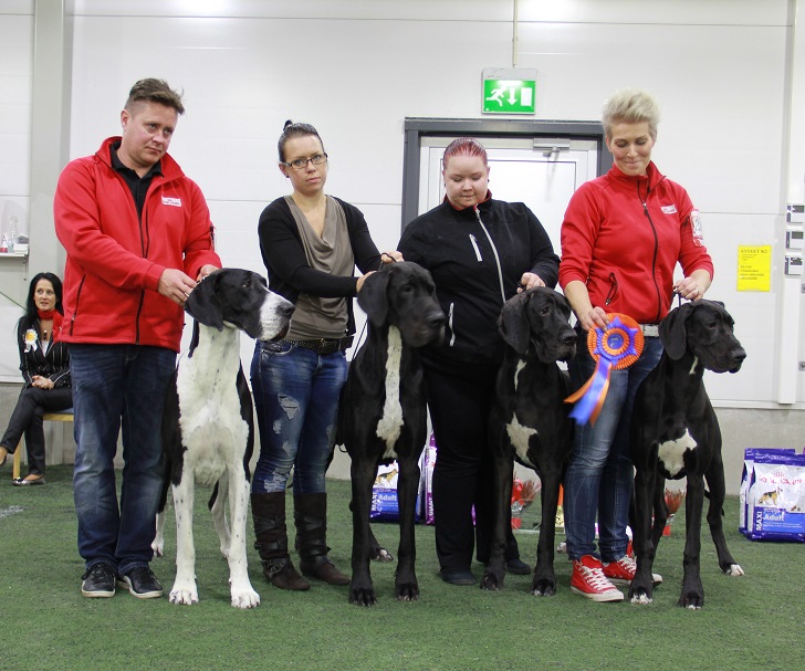 BIS2 KASVATTAJA - kennel Grand Oak’s om. Forsstén-Klint Sari