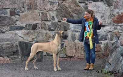 EDENDANE'S POWER OF LOVE 