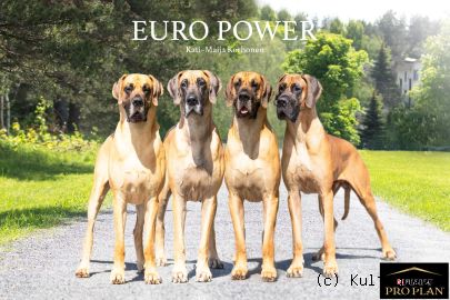EURO POWER 