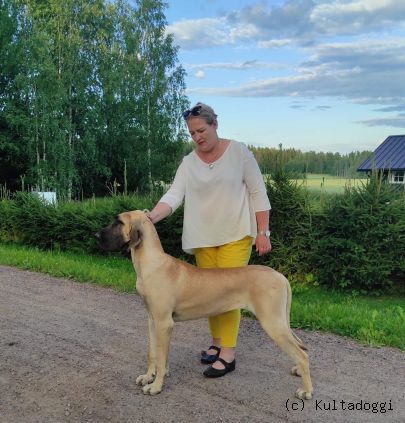 RIVERSIDE TAIL'S GUNNHILD 