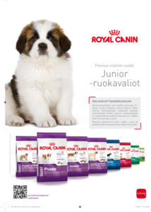RC_SHN_Junior_Giant_2015_A4_osoitetila.indd